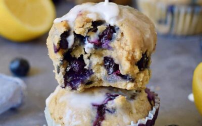 Vegan Flourless Blender Blueberry Mini Muffins
